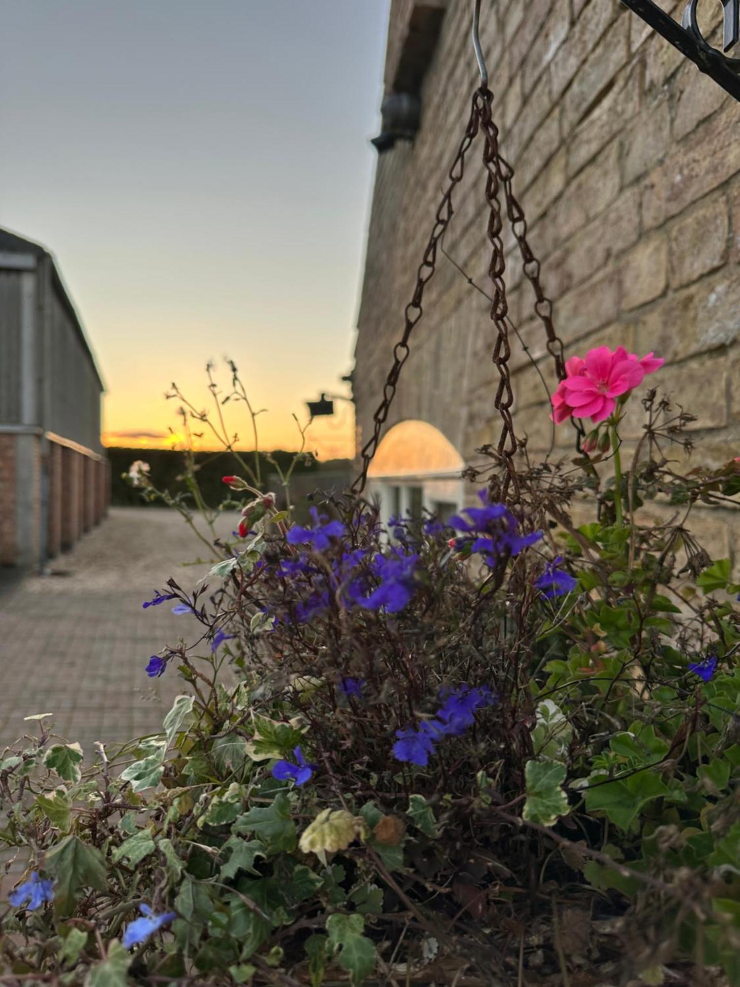 Charming Hen Cottage Countryside Retreat Lincoln Newball Exteriér fotografie